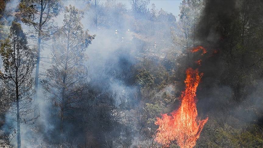 Orman yangınlarından bu yıl en fazla etkilenen 10 il belli oldu 1